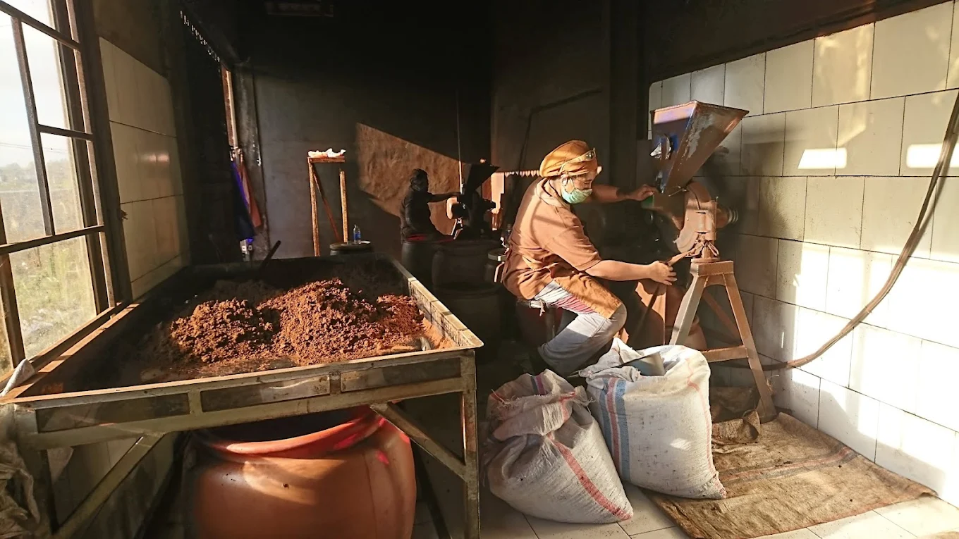 Pupuan Coffee Processing Education